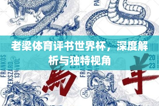 老梁体育评书世界杯，深度解析与独特视角
