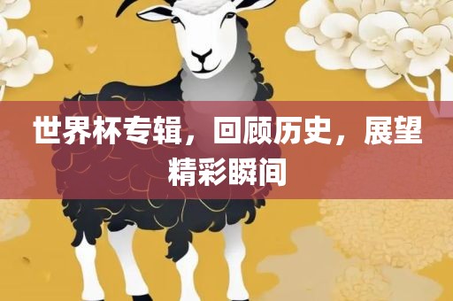 世界杯专辑，回顾历史，展望精彩瞬间眉山市正发家政服务有限公司