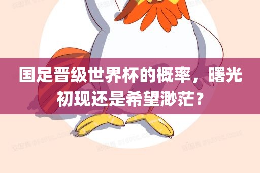 国足晋级世界杯的概率，曙光初现还是希望渺茫？