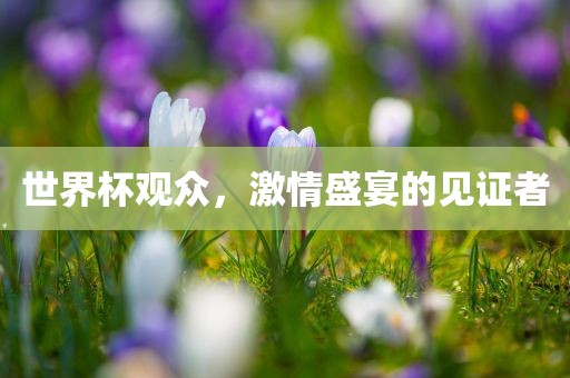 世界杯观众，激情眉山市正发家政服务有限公司盛宴的见证者