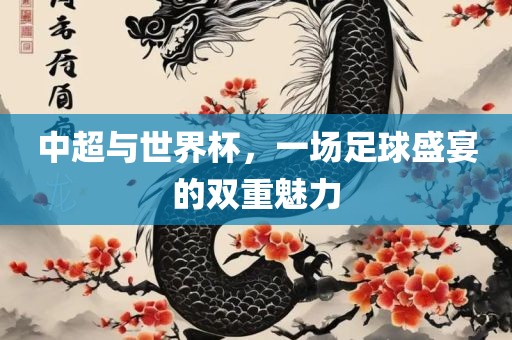 中超与世界杯，一场足球盛宴的双重魅力眉山市正发家政服务有限公司