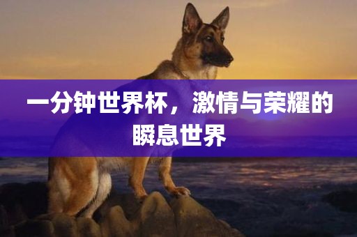 一分钟世界杯，激情与荣耀的瞬息世界眉山市正发家政服务有限公司