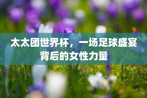 太太团世界杯，一场足球盛宴背后的女性力量眉山市正发家政服务有限公司