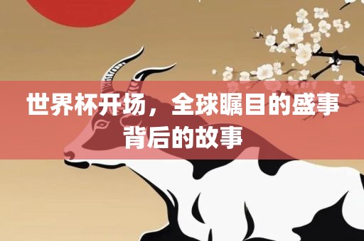 世界杯开场，全球瞩目的盛事背后的故事眉山市正发家政服务有限公司