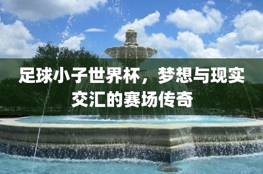 足球小子世界杯，梦想与现实交汇的赛场传奇眉山市正发家政服务有限公司
