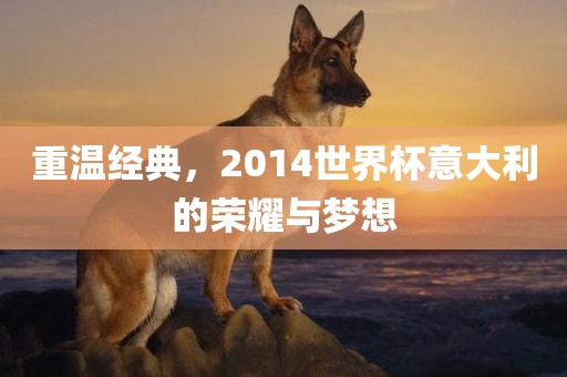 重温经典，2014世界杯意大利的荣耀与梦想