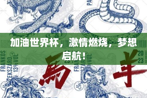 加油世界杯，激情燃烧，梦想眉山市正发家政服务有限公司启航！