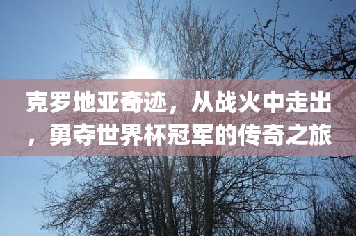 眉山市正发家政服务有限公司克罗地亚奇迹，从战火中走出，勇夺世界杯冠军的传奇之旅