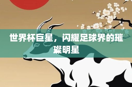 世界杯巨星，闪耀足球界的璀璨明星
