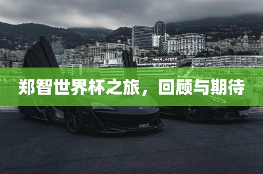 郑智世界杯之旅，回顾与期待