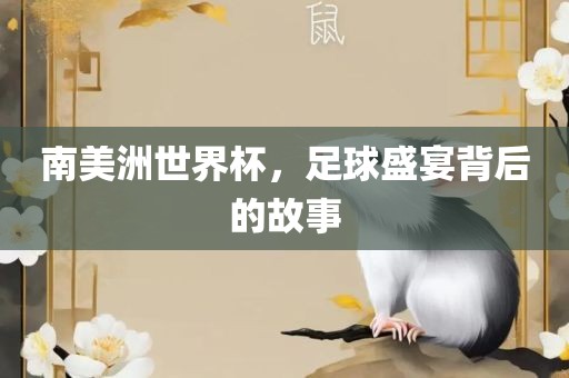 南美洲世界杯，足球盛宴背后的故事眉山市正发家政服务有限公司