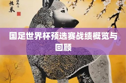 国足世界杯预选赛战绩概览与回顾