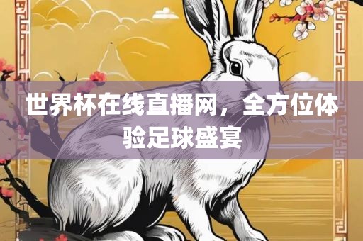 世界杯在线直播网，全方位体验足球盛宴