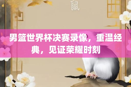 男篮世界杯决赛录像，重温经典，见证荣耀时刻