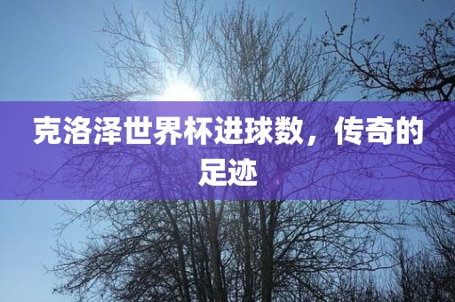 克洛泽世界杯进球数，传奇的足迹