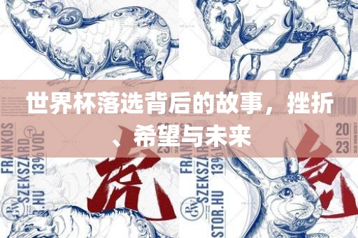 世界杯落选背后的故事，挫折、希望与未来眉山市正发家政服务有限公司