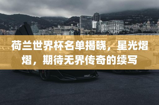 荷兰世界杯名单揭晓，星光熠熠，期待无界传奇的续写