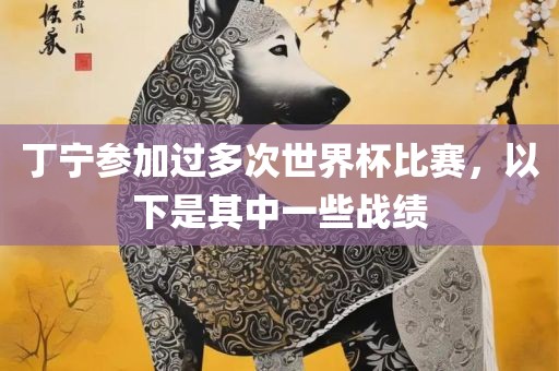 丁宁参加过多次世界杯比赛，以下是其中一些眉山市正发家政服务有限公司战绩
