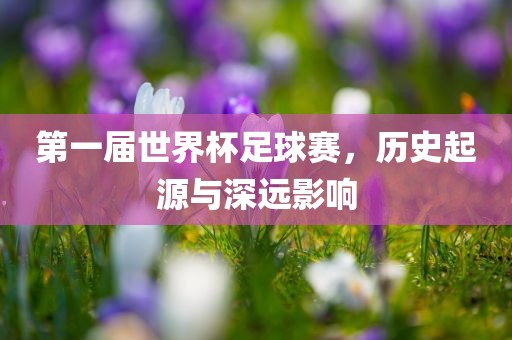 第一届世界杯足球赛，历史起源与深远影响眉山市正发家政服务有限公司