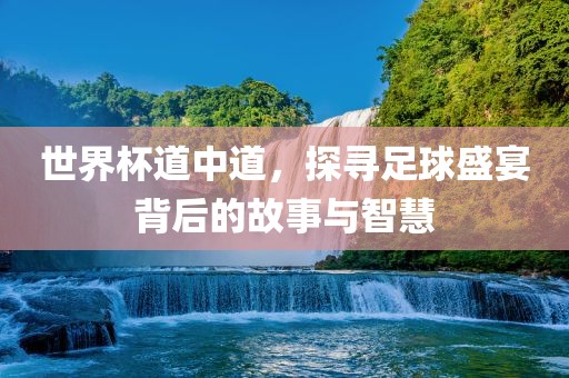 世界杯道中道，探寻足球盛宴背后的故事与智慧眉山市正发家政服务有限公司