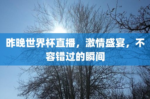 昨晚世界杯直播，激情盛宴，不容错过的瞬间眉山市正发家政服务有限公司