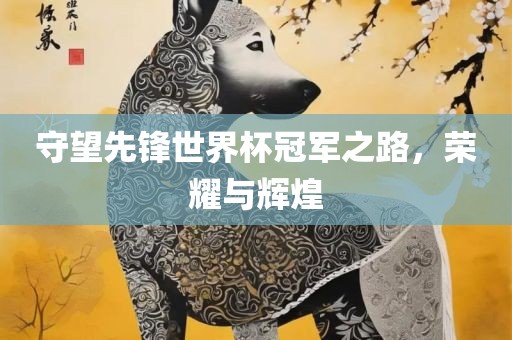 守望先锋世界杯冠军之路，荣耀与辉煌