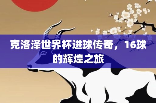 克洛泽世界杯进球传奇，16球的辉煌之旅眉山市正发家政服务有限公司