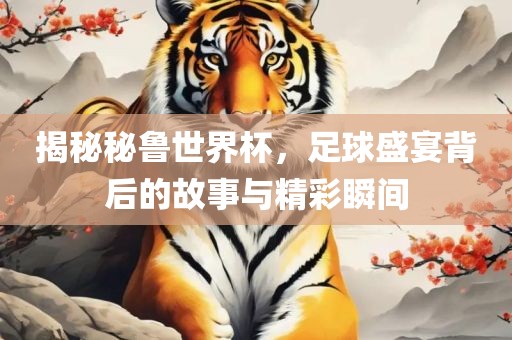 揭秘秘鲁世界杯，足球盛宴背后的故事与精彩瞬间眉山市正发家政服务有限公司