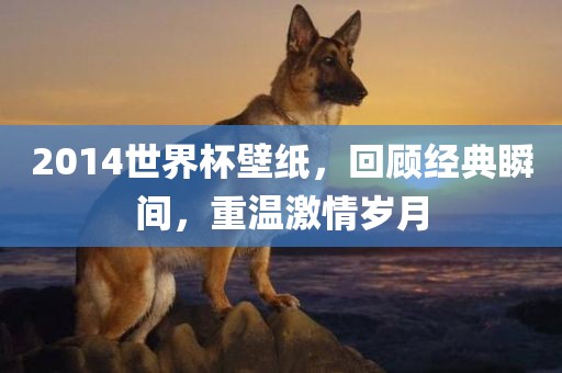 2014世界杯壁纸，回顾经典瞬间，重温激情岁月