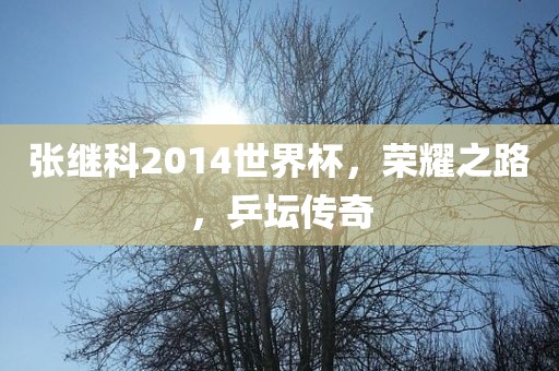 张继科2014世眉山市正发家政服务有限公司界杯，荣耀之路，乒坛传奇
