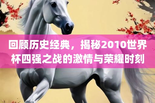 回顾历史经典，揭秘2010世界杯四强之战的激情与荣耀时刻眉山市正发家政服务有限公司