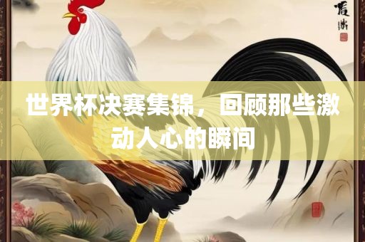 世界杯决赛集锦，回顾那些激动人心的瞬间