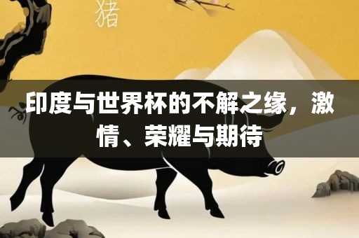印度与世界杯的不解之缘，激情、荣耀与期待眉山市正发家政服务有限公司