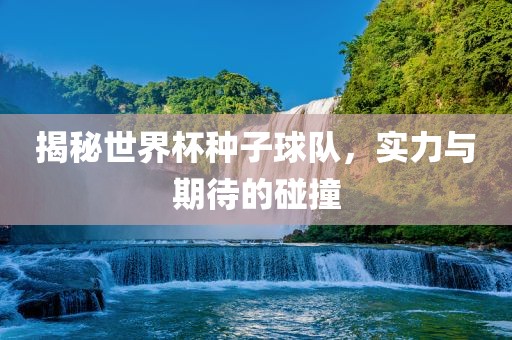 揭秘世界杯种子球队，实力与期待的碰撞