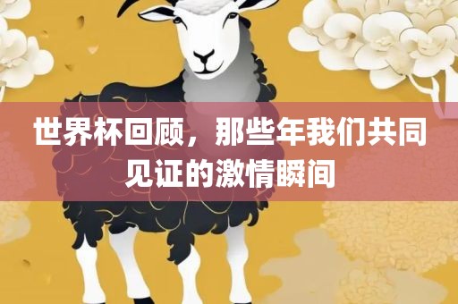 世界杯回顾，那些年我们共同见证的激情瞬间眉山市正发家政服务有限公司