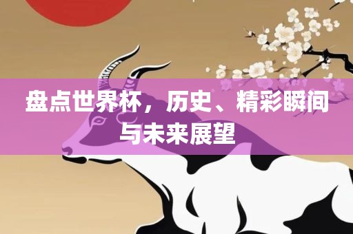 盘点世界杯，历史、精彩瞬间与未来展望眉山市正发家政服务有限公司