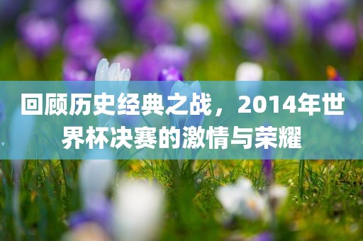 回顾历史经典之战，2014年世界杯决赛的激情与荣耀眉山市正发家政服务有限公司