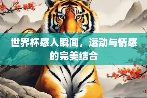 世界杯感人瞬间，运动与情感的完美结合