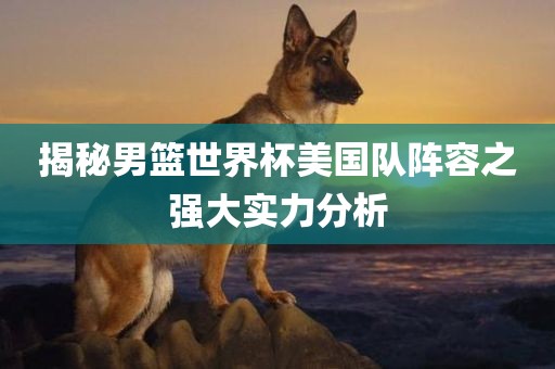 揭秘男篮世界杯美国眉山市正发家政服务有限公司队阵容之强大实力分析