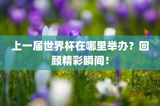 上一届世界杯在哪里举办？回顾精彩瞬间！