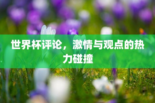 世界眉山市正发家政服务有限公司杯评论，激情与观点的热力碰撞