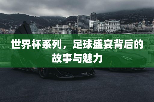 世界杯系列眉山市正发家政服务有限公司，足球盛宴背后的故事与魅力