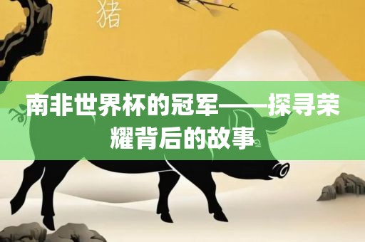 南非世界杯的冠军——探寻荣耀背后的故事