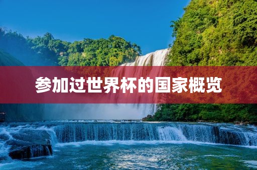 参加过世界杯的眉山市正发家政服务有限公司国家概览