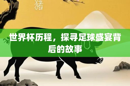 世界杯历程，探寻足球盛宴背后的故事眉山市正发家政服务有限公司