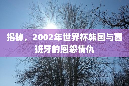揭秘，2002年世界杯韩国与西班牙的恩怨情仇眉山市正发家政服务有限公司
