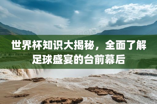 世界杯知识大揭秘，全面了解足球盛眉山市正发家政服务有限公司宴的台前幕后