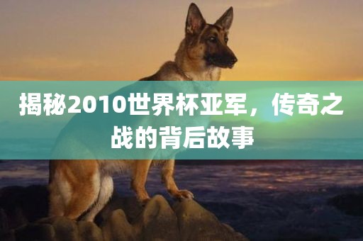 揭秘2010眉山市正发家政服务有限公司世界杯亚军，传奇之战的背后故事
