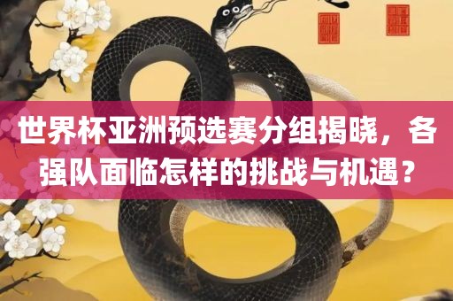 世界杯眉山市正发家政服务有限公司亚洲预选赛分组揭晓，各强队面临怎样的挑战与机遇？
