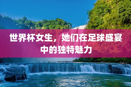 世界杯女生，她们在足球盛宴中的独特魅力眉山市正发家政服务有限公司